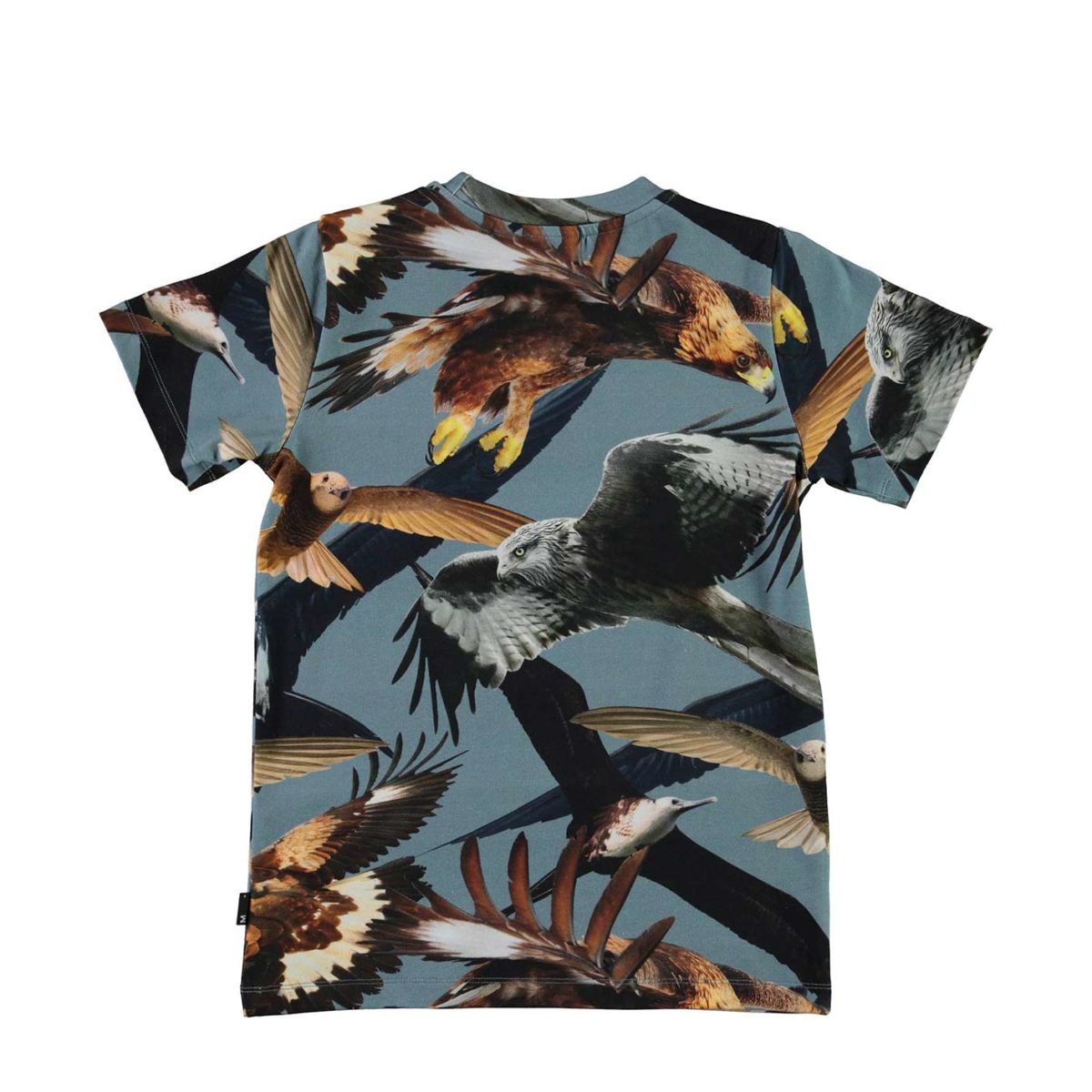Molo - T-shirt Ralphie, sort fugleprint