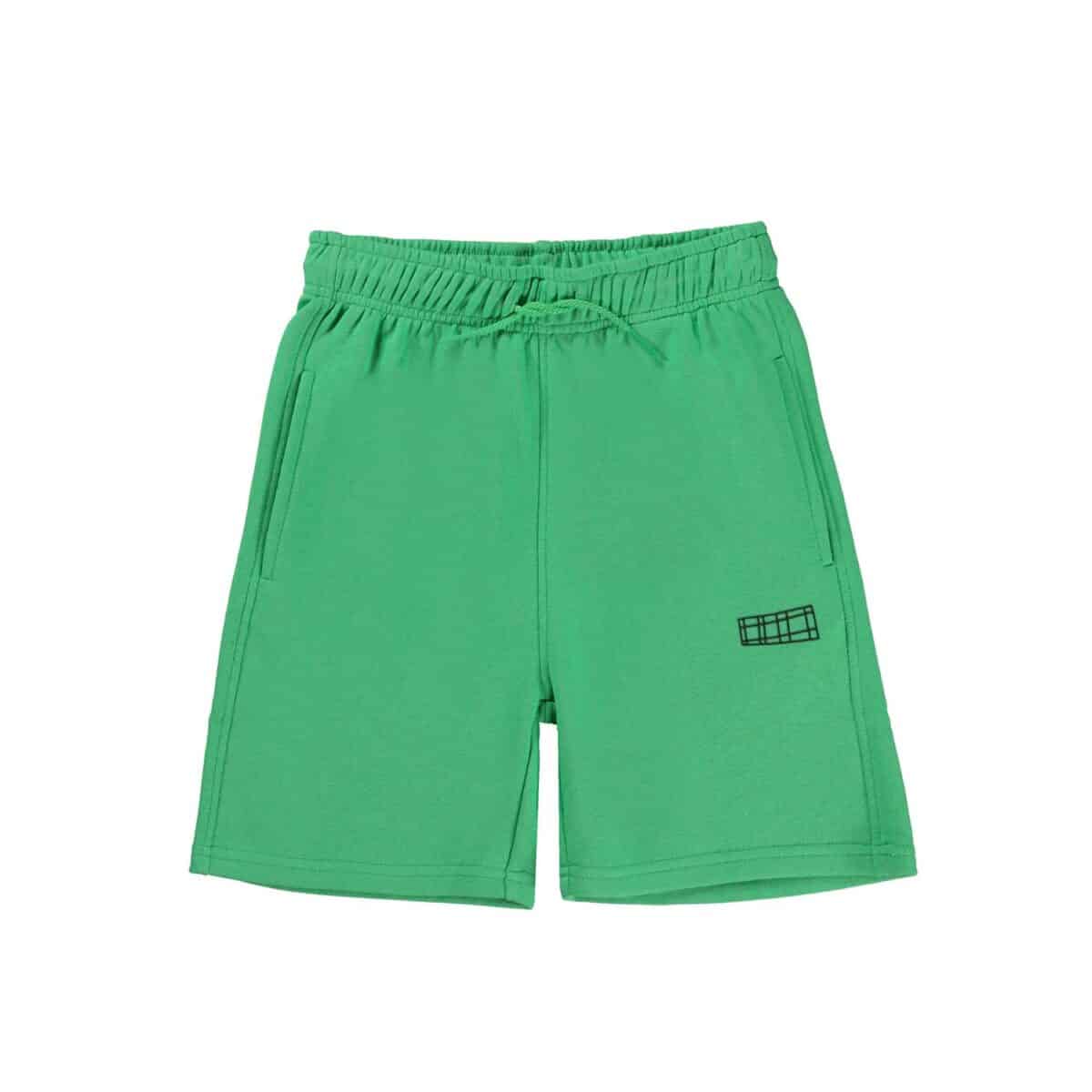 Molo shorts Adian grøn